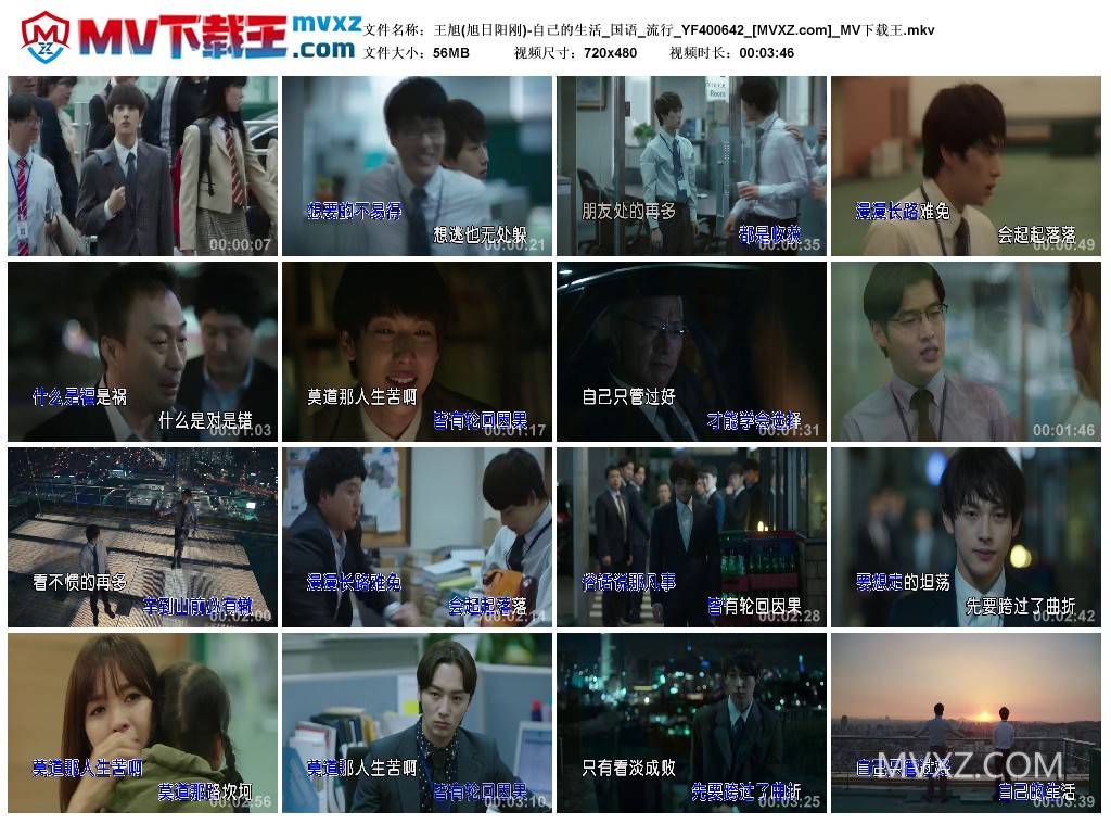 王旭(旭日阳刚)-自己的生活_国语_流行_YF400642